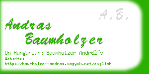 andras baumholzer business card